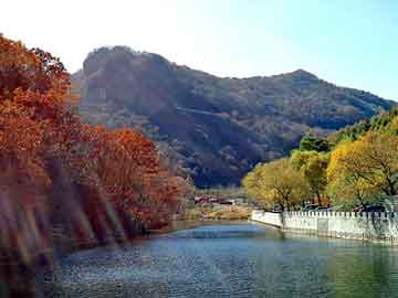 澳门天天彩期期精准平肖，猛鬼山坟